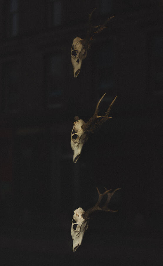 Untitled